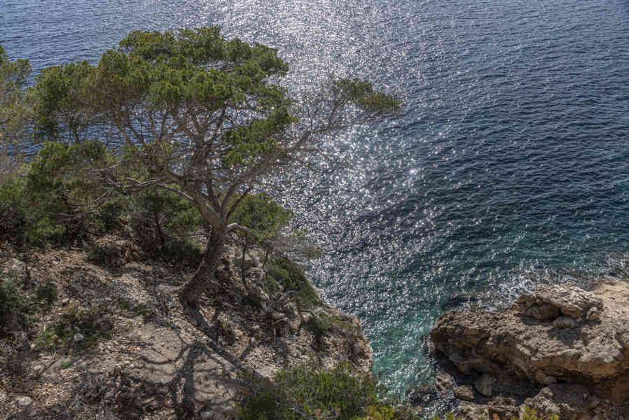 Mallorca - Artà 15 - paisaje.jpg